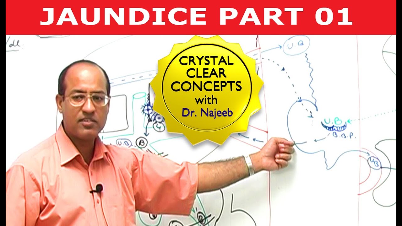 Jaundice | Part 1