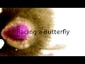 Racing a Butterfly (single & album)