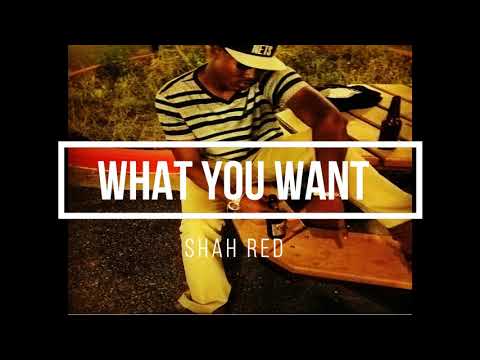 what you want ft vidal garcia