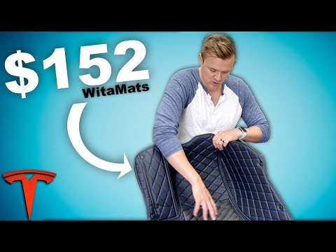 Witamats for Tesla - Not What I Expected