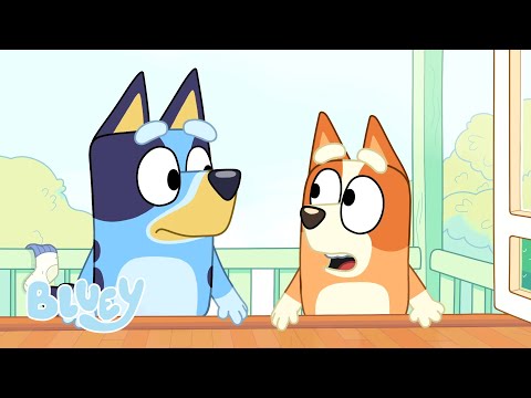 Capa de Bandit Muda os Nomes de Bluey e Bingo | Provocação | Bluey Português Brasil Canal Oficial