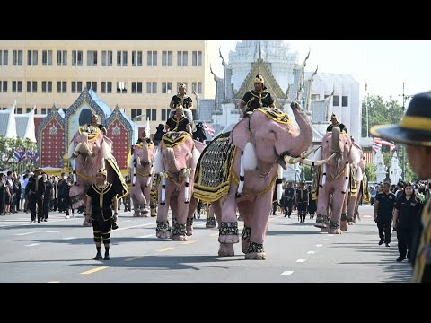 Pink elephants march for Thailand's late queen mother | AFP