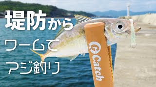 堤防からワームでアジ釣り～グッドミールスキニー～