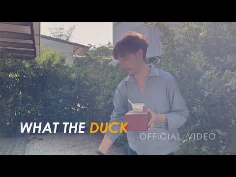 Morvasu x Violette Wautier - ดูดฝุ่น (home.) [Valentine's version]