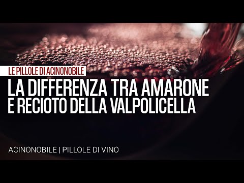 The difference between Amarone and Recioto della Valpolicella