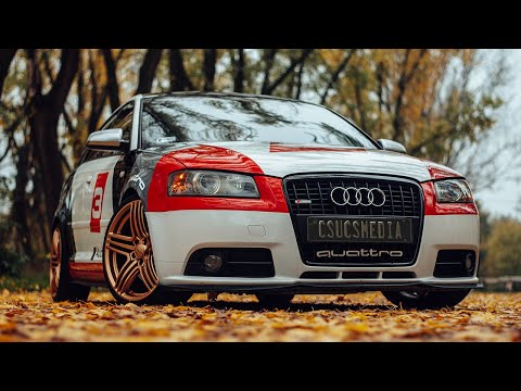 Audi A3 8p Quattro