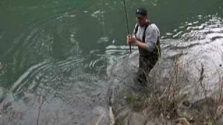 Steelhead on the North Umpqua River Glide Oregon