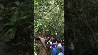 preview picture of video '18 February 2018 : Taman Negara Pahang'