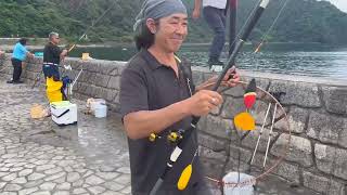 2024Summer イルカ浜シマアジ釣れてます。（伊豆 川奈港 堤防 両軸遠投 カゴ釣り）