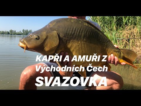 Kapři a amuři na boilies na svazové vodě - Tentokrát na boilies JET FISH a Decathlon!