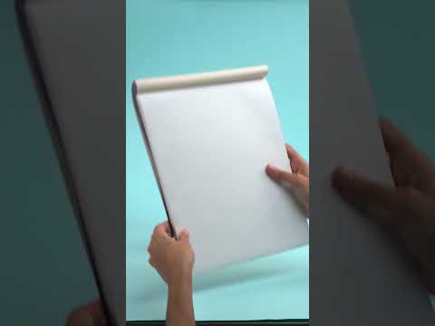 Camlin Reels | Kaizen Films | 2024