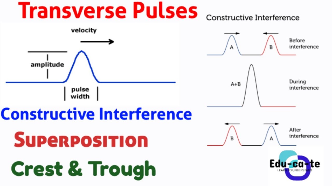 Transverse Pulses - grade 10 physics