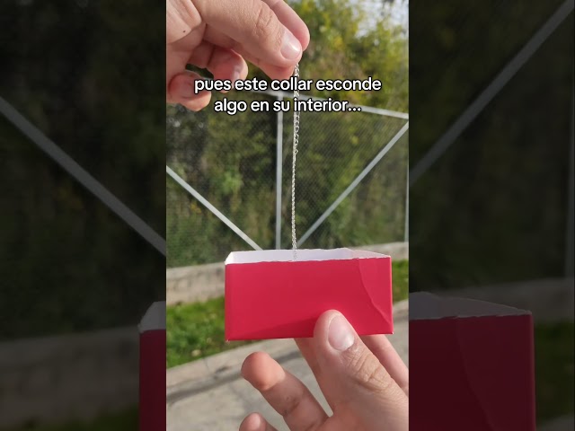 Vídeo relacionado con TEAMER Acero inoxidable perro gato caballo zorro mascota Animal colgante lindo collar cadena joyería para mujer (PERRO-GATO-PLATA)