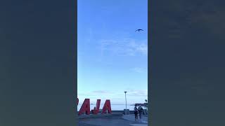 Download lagu minngu pagi di pantai losari  #indonesia #makassar #sulawesiselatan #olahraga #pantailosari mp3