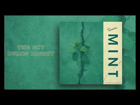 Jet Mineral - MINT feat. Cezara Marin (visualizer)