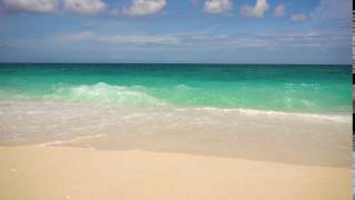 Dream Vacation Giveaway  – The Shady Palm Tree