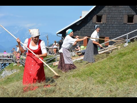 Kosci na Begunjščici 2017