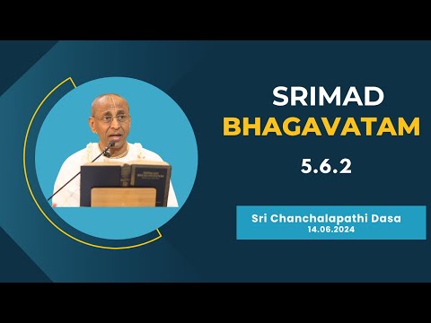 Precautions to Remain Vigilant About the Mind's Influence | Sri Chanchalapathi Dasa | SB 5.6.2
