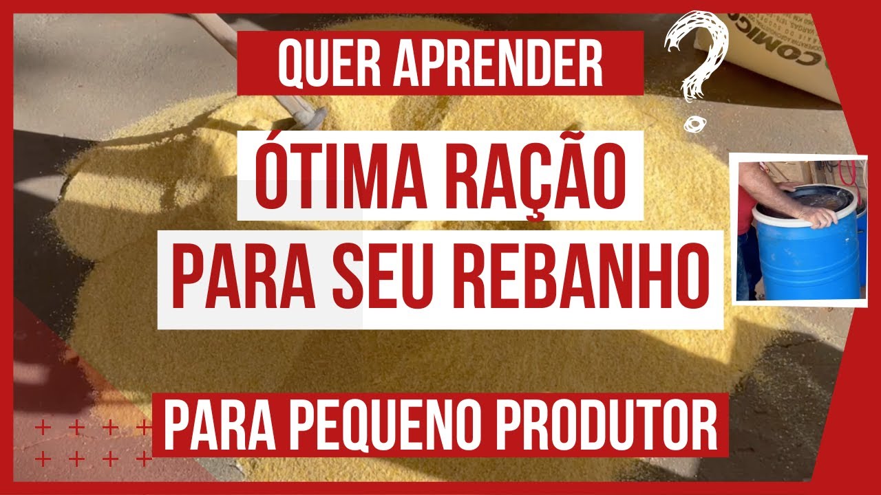 BATIDA DE RAÇÃO PARA OVINOS E BOVINOS COM 18% DE PROTEÍNA PARA PEQUENO PRODUTOR