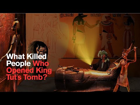 What Killed the Men Who Disturbed the Pharaoh’s Tomb?