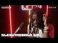 SleazyWorld Go Sleazy Flow Live Performance Open Mic