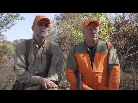 Hunting Woodcock and Grouse in St. Helen | Pure Michigan