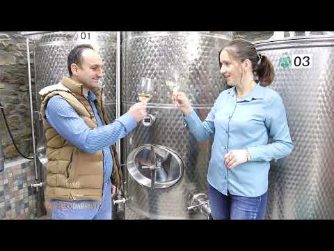 Vino i vinogradarstvo 780