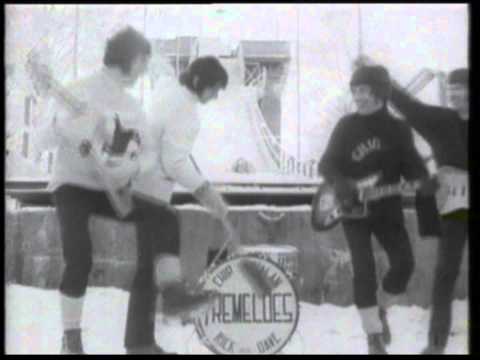 Tremeloes - Suddenly You Love Me (1968) HD 0815007