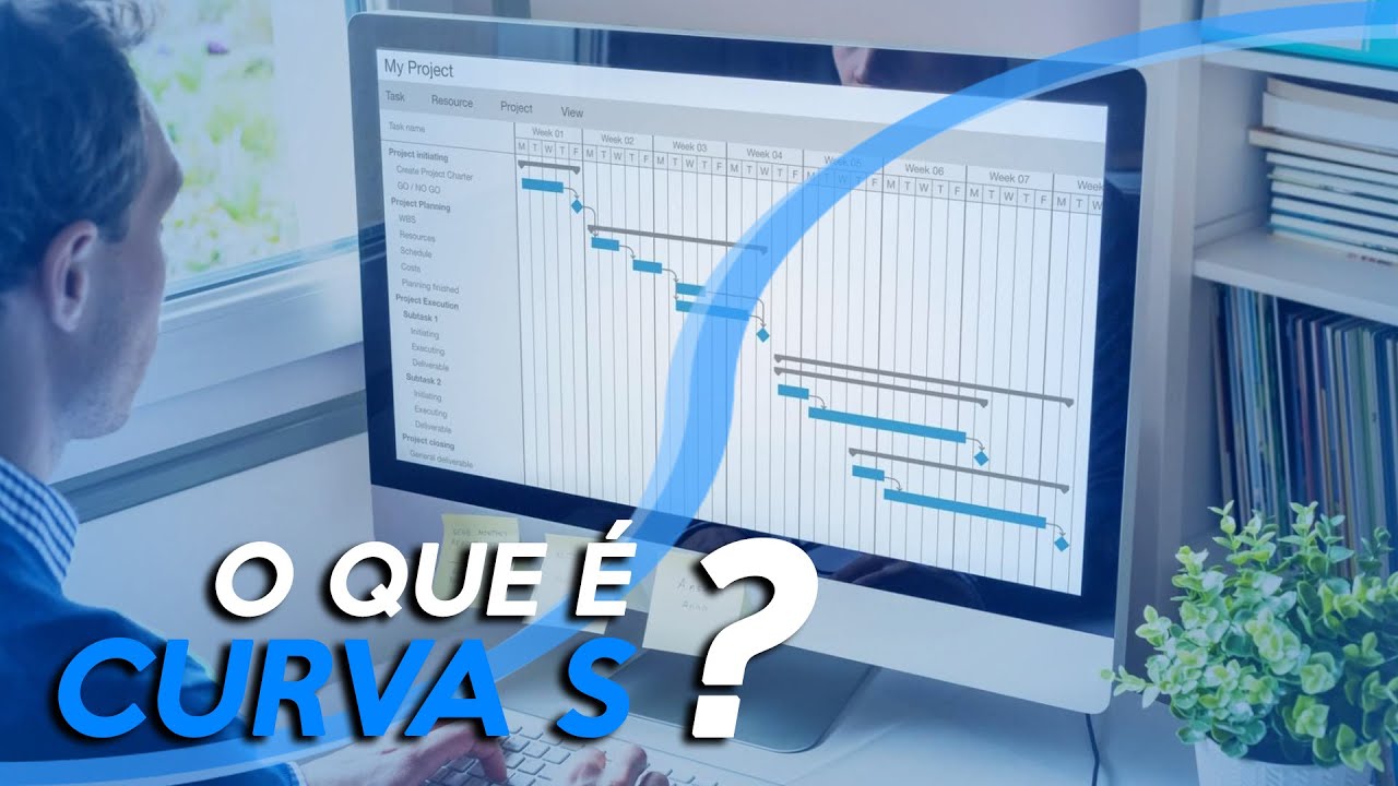 What is S CURVE? What can I control with a project S CURVE? Type S curve or S curve?