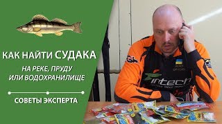 Ссылка
