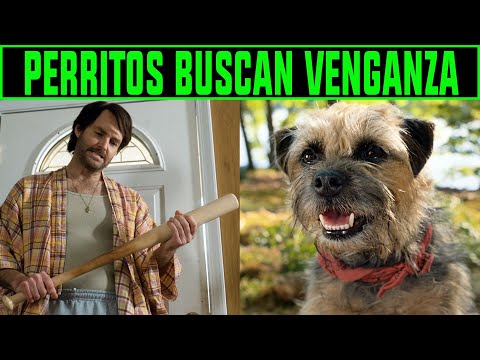 HIJOS DE PERRA | RESUMEN en 10 Minutos