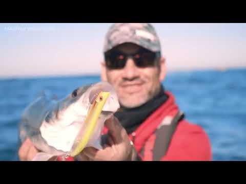 Vídeo Isca Rapala MaxRap Walkn Roll MXRWR10
