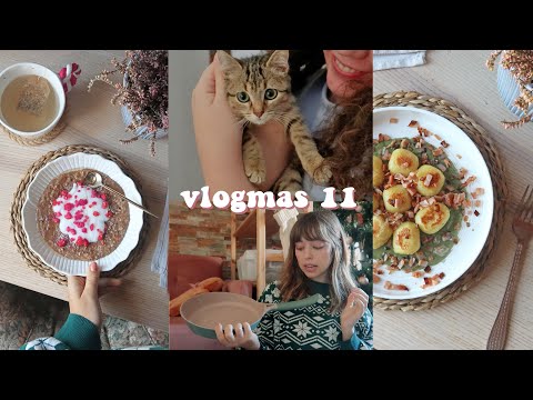 VLOGMAS 11 l porridge de chocolate, peli navideña, ñoquis salteados y una gatita nueva