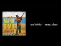 manu chao - mr bobby (lyrics-letra)