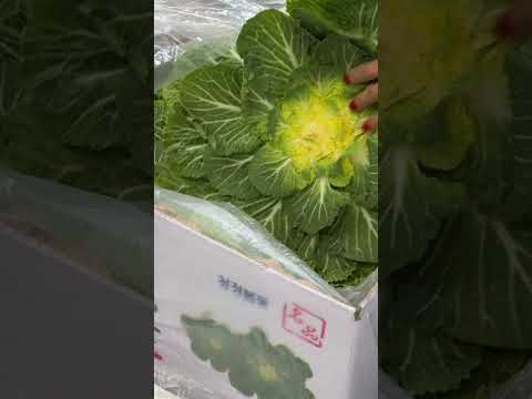 우리집 식탁에도 봄이 왔습니다 