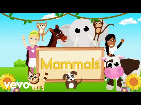 Have Fun Teaching - Animals Song