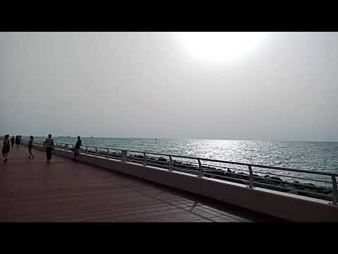 Aneeq Atlantis out side view