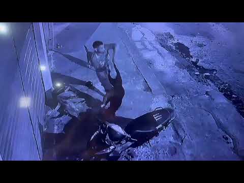 Homem é preso após matar cachorro estrangulado em Borba, no Amazonas