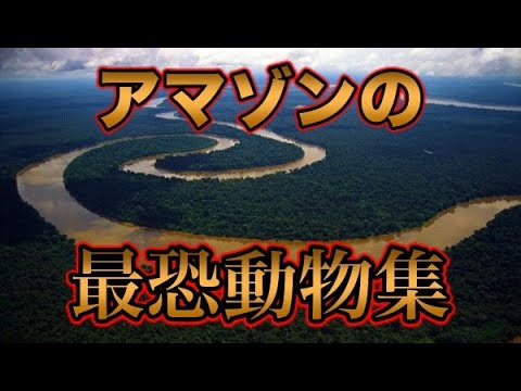 ブラジルの動物