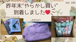 日々色々 🌸色 Vol. 186 from Boston 🇺🇸