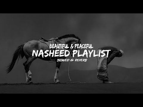 Beautiful Nasheed Playlist " Muhammad Al Muqit Nasheed | Slowed & Reverb | Peaceful Nasheed |Al Aqsa