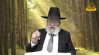 דף היומי בחצי שעה – סנהדרין דף ג’