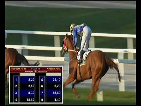 Szent István Díj 2017