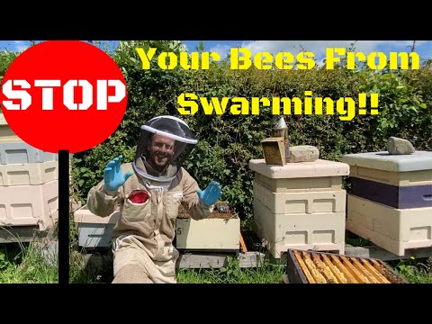 Stop Your Bees From Swarming. The Artificial Swarm