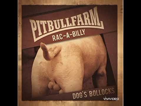 Pitbullfarm King of fools ( cover Social Distortion)