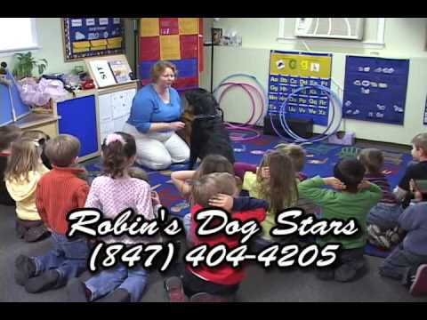 Promotional video thumbnail 1 for Robin's Dog Stars Animal Act