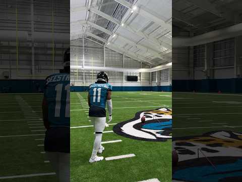 Which NFL team should sign me? 👀