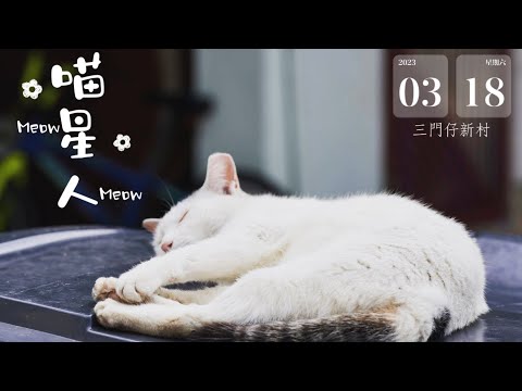 《香港最美風景🏞寧靜悠閒的三門仔新村》喵星人之日常 (4K60fps)