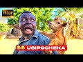 KINGWENDU HB NA BAMBO FULL VICHEKESHO 2025 LAZIMA UCHEKE