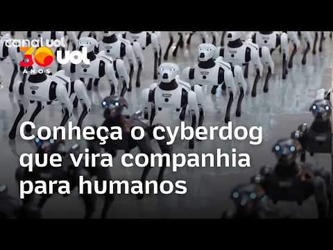 Humanoides no trânsito, cyberdog do futuro e a nova era dos agentes de IA | O Impensável